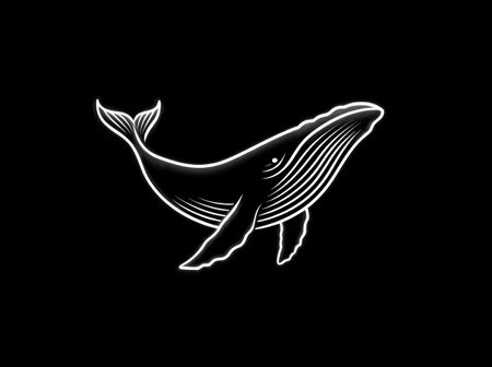 A graceful whale is depicted in a minimalist silhouette against a black backdrop. The image features clean lines and a simple, two-tone color scheme, highlighting the animal's form. The design evokes a sense of depth and elegance, suitable for various applications, including branding and editorial content.の素材