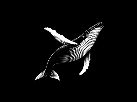 This stark illustration features a whale against a solid black backdrop. The artwork showcases detailed linework, creating a textured effect. The composition uses high contrast, with the whale rendered in white. This imagery is suitable for various design applications, offering a bold visual statement. It can be utilized for editorial and commercial purposes.の素材