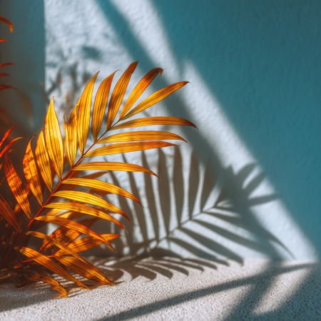 An overhead shot showcases a golden palm frond casting a strong shadow on a textured, light-colored surface. The composition features a vivid display of natural sunlight, illuminating the leaf and creating a sharp contrast. This visual could be utilized in various commercial or editorial applications.の素材