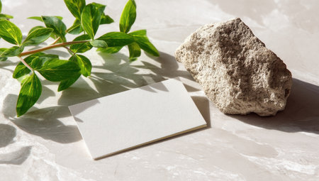 This image showcases a clean, minimalist composition with a blank white card, a textured rock, and green leafy branches. The scene is bathed in natural light, casting soft shadows across a white surface. Suitable for visual concepts of business, nature, or design projects. Could be used for advertising or editorial content.の素材