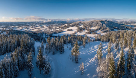An aerial perspective showcases a winter landscape with dense, snow-laden evergreen trees and rolling hills. The scene is illuminated by bright sunlight, casting shadows and highlighting the texture of the snow. This image evokes feelings of tranquility and could be suitable for various commercial or editorial applications.の素材