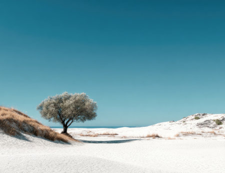 A single tree stands prominently in a stark, sandy landscape under a clear, azure sky. The image showcases textures, with the tree's foliage contrasting with the smooth sand. Soft lighting and a balanced composition contribute to the scene. Suitable for a range of uses, from editorial content to visual design.の素材