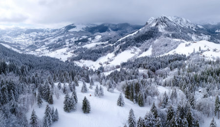 An aerial view presents a vast mountain range blanketed in snow. The composition showcases numerous evergreen trees, their branches laden with snow, set against a backdrop of rolling hills and majestic peaks under a cloudy, overcast sky. This landscape could be suitable for various editorial and commercial applications.の素材