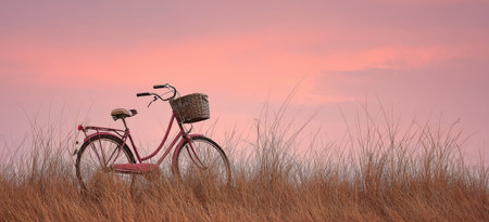 A classic bicycle sits in a field of tall grass with a soft, pink sky in the background. The scene features warm color tones and a serene composition. This image could be suitable for various uses, including editorial content, advertising, and marketing materials.の素材
