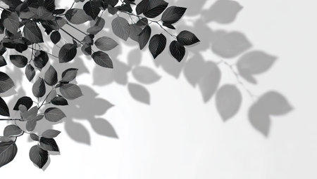 A close-up captures a branch with dark leaves against a bright white background. Shadows of leaves create a graphic pattern. This image uses a limited grayscale palette, playing with light and shadow. It is suitable for design projects, marketing materials, and editorial content.の素材