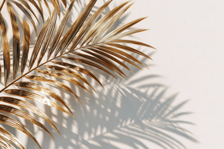 A close-up captures a golden palm frond casting a detailed shadow across a white backdrop. The composition features soft lighting that accentuates the textured details of the frond. The image suggests potential uses in decorative design, providing a sophisticated and natural element for creative projects.の素材