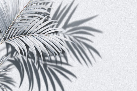 A close-up view presents palm fronds and their shadows against a white textured background. The image displays a monochrome palette, highlighting the interplay of light and shadow, with strong directional lighting. This simple composition is suitable for various uses, including design projects and visual content.の素材