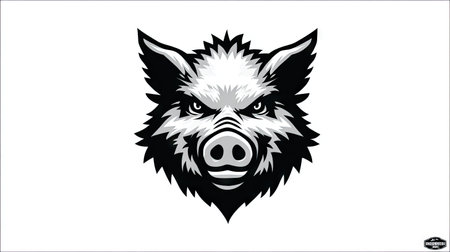 A striking black and white illustration presents a detailed head of a wild boar. The design emphasizes sharp features and expressive eyes against a clean, white backdrop. The composition suggests a bold aesthetic, suitable for various design applications. Potential uses include branding, logo design, and editorial projects.の素材