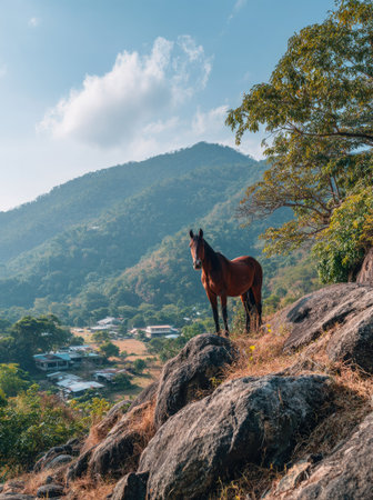 A brown horse stands atop a rocky outcrop, observing a vast mountain range under a cloudy blue sky. The scene is bathed in natural sunlight, exhibiting a serene mood. This image could serve various commercial applications such as travel, nature, or environmental related projects.の素材