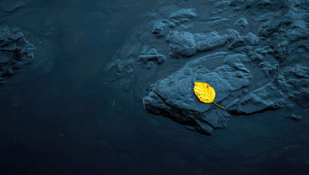 A bright yellow leaf rests on a dark, textured surface, possibly a rock formation. The composition features an overhead view, with a contrast between the leaf's color and the darker tones of the environment. This image could be used for conceptual projects or artistic illustrations.の素材