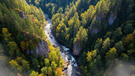 Aerial view of the beautiful mountain river in the autumn forest.の素材