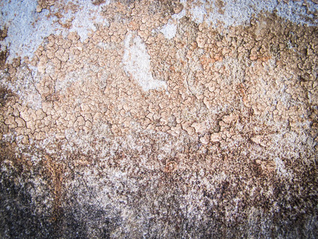 wall background textureの写真素材