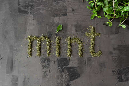 Dried peppermint in a bowl and a bunch of fresh mint scattered on gray concrete background. Top view.の写真素材