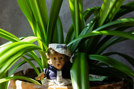 Ugly and scary dolls among green leaves.の写真素材