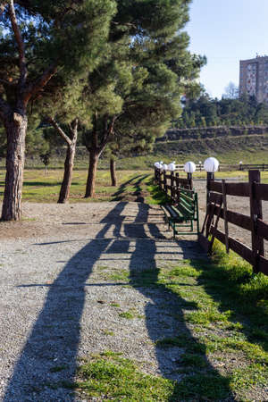 Pathway at park with green trees and grass.の写真素材