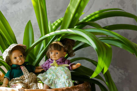 Ugly and scary dolls among green leaves.の写真素材