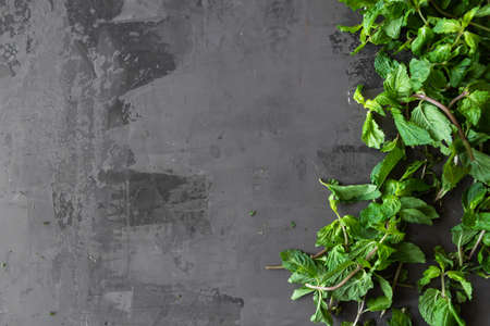 Dried peppermint in a bowl and a bunch of fresh mint, on gray background.の写真素材