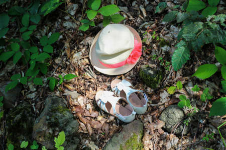 Outdoor picnic in the forest with delicious foodの写真素材