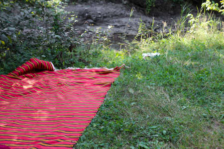 Outdoor picnic in the forest with delicious foodの写真素材