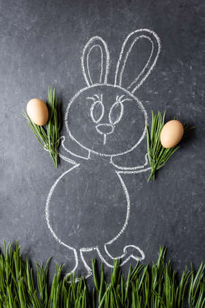 Easter rabbit bunny with easter eggs on green grass. Bunny and eggs. Chalk drawn bunny.