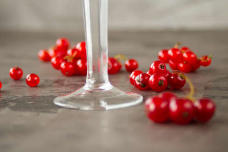 Red currant in a shot glass, the rest is scattered around it on a gray textured background. High quality photoの写真素材