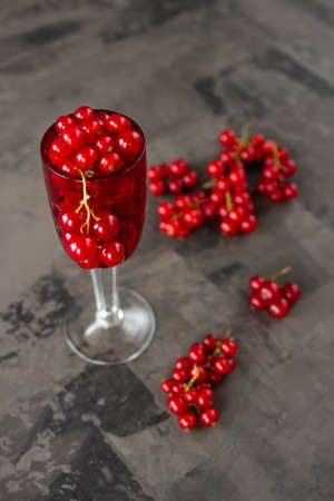 Red currant in a shot glass, the rest is scattered around it on a gray textured background. High quality photoの写真素材