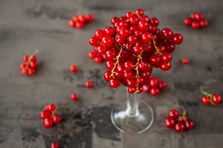 Red currant in a shot glass, the rest is scattered around it on a gray textured background. High quality photoの写真素材