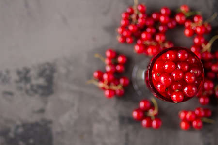 Red currant in a shot glass, the rest is scattered around it on a gray textured background. High quality photoの写真素材