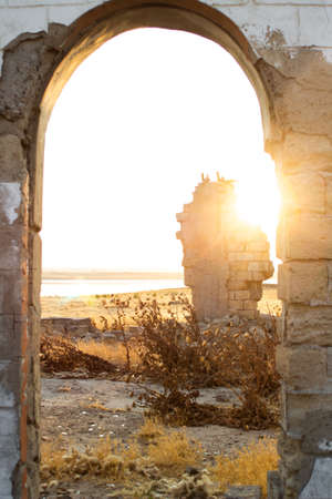 Destruction on a yellow field near a salt lake. High quality photoの写真素材