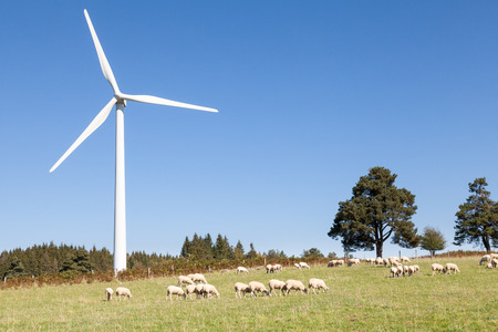 Wind turbine with a flock of grazing sheep on a hilltop against a sunny blue sky with copy space