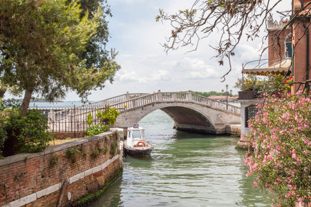 Picturesque Ponte dei Setti Martiri, Castello, Venice, Veneto, Italy looking from Giradini  along the Rio de Giardini towards the lagoon with colorful spring flowersのeditorial素材