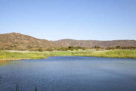 Dam and wetlands at Vrolijksheid Nature Reserve,  McGregor, Western Cape, South Africa at sunset in the  Little karoo, Breede River Valleyの写真素材