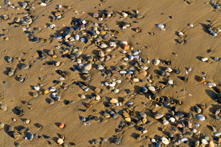 Various multicolored pebbles of different sizes and shapes compose a natural texture background on...