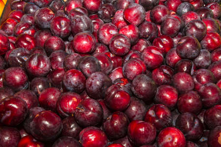 Delicious ripe juicy plums at local marketの写真素材