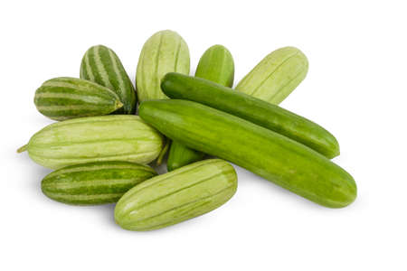 Delicious fresh cucumber variety isolated on white.の写真素材