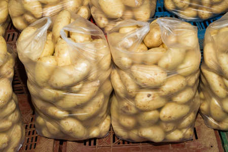Fresh harvest of potatoes in in ten bags displayed for sale at local food market の写真素材