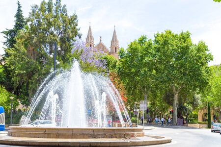 Plaza de la Reina Palma de Mallorca.の写真素材