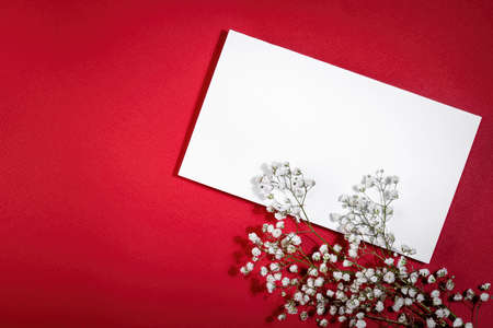 A white postcard on a red background and a branch of white flowers. An empty space for the text.の写真素材