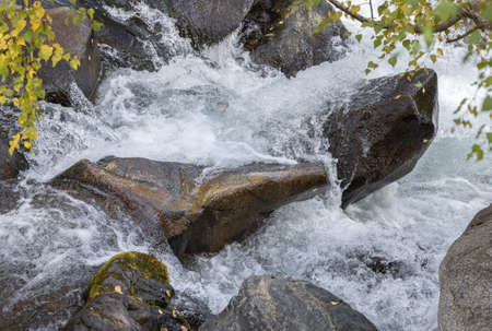 A mountain river running over stone boulders. Yellow birch leaves hang down from above.
