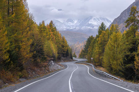 A road in a mountain valley surrounded by a forest of larch and fir trees against the backdrop of a mountain range in autumn. A car is driving in the foregroundの写真素材