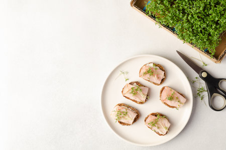 Healthy snacks or starter, appetizer with organic microgreens growing at home for healthy eating or for restaurant. Top view, copy space for text . High quality photoの写真素材