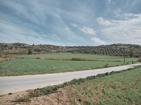 Shot of a rural landscape in a sunny day