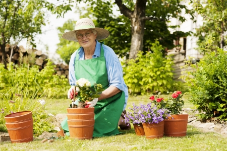 Senior woman with flowers in gardenの写真素材