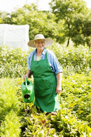 Senior woman watering a plantの写真素材