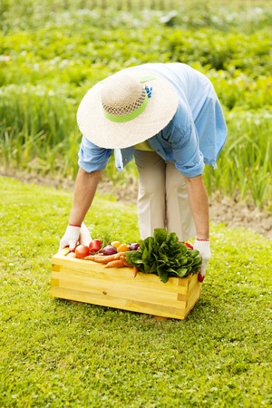 Senior woman picking up the box filled fresh vegetablesの写真素材