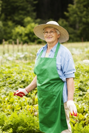 Senior woman gardeningの写真素材