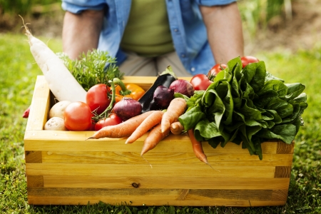 Wooden box filled fresh vegetablesの写真素材