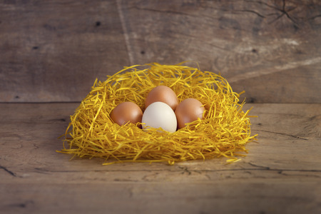 Four eggs in animal nest
の写真素材
