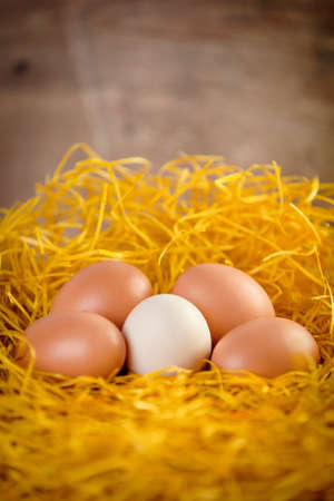 A few eggs in yellow strawの写真素材