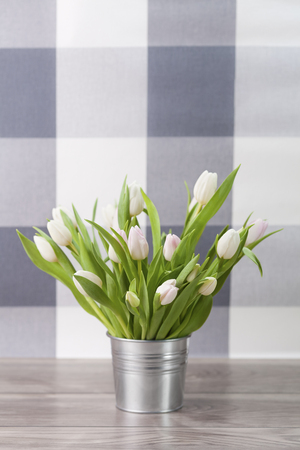 White fresh tulips in rustic pot の写真素材
